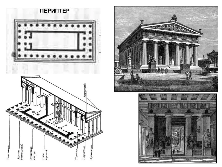 ПЕРИПТЕР