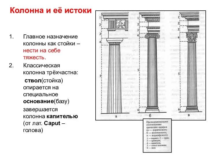 Колонна и её истоки Главное назначение колонны как стойки – нести на