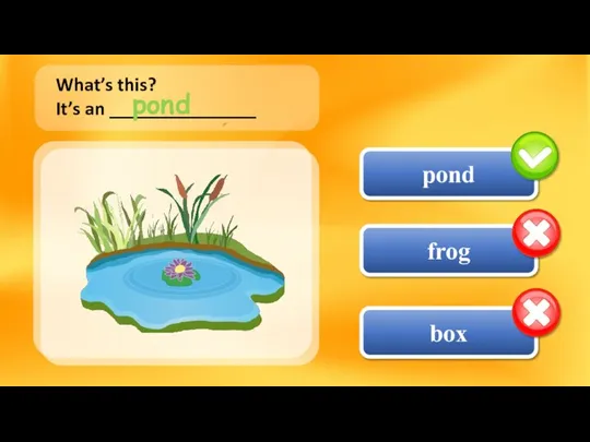 frog pond box What’s this? It’s an _______________ pond