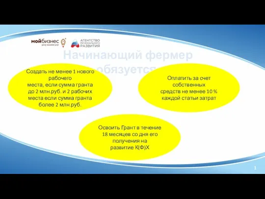 1 Начинающий фермер обязуется: Создать не менее 1 нового рабочего места, если