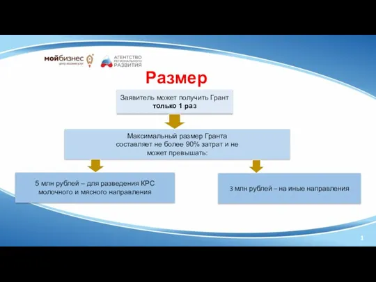 1 Размер Гранта: Заявитель может получить Грант только 1 раз Максимальный размер