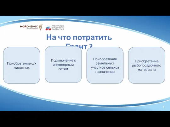 1 На что потратить Грант ? Приобретение с/х животных Подключение к инженерным