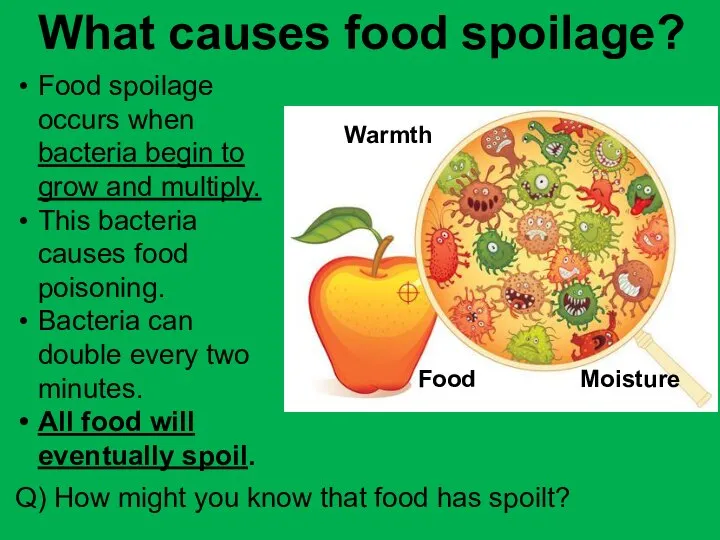 What causes food spoilage? Food spoilage occurs when bacteria begin to grow