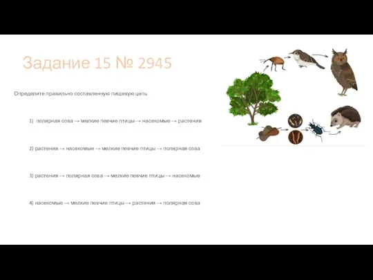 Задание 15 № 2945 Определите правильно составленную пищевую цепь 1) полярная сова