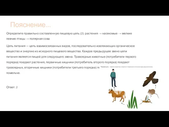 Пояснение... Определите правильно составленную пищевую цепь (2): растения → насекомые → мелкие