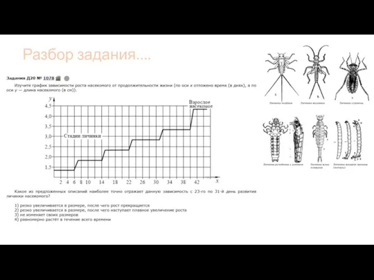 Разбор задания....