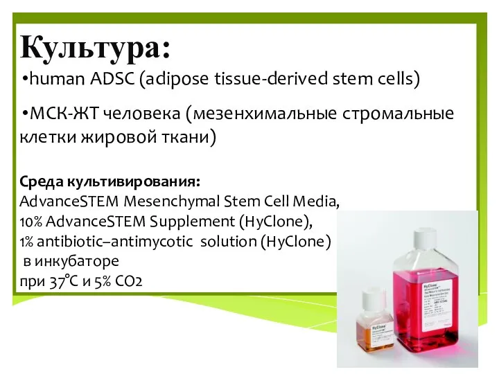Культура: human ADSC (adipose tissue-derived stem cells) МСК-ЖТ человека (мезенхимальные стромальные клетки