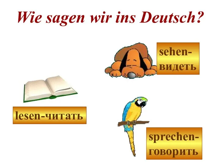 Wie sagen wir ins Deutsch? sehen- видеть sprechen- говорить lesen-читать