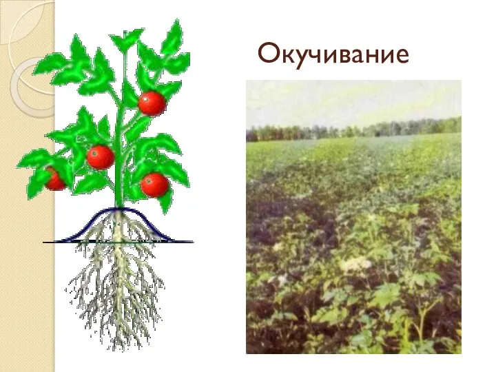 Окучивание