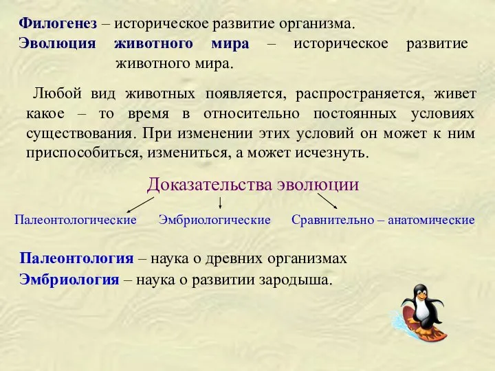 Филогенез – историческое развитие организма. Эволюция животного мира – историческое развитие животного