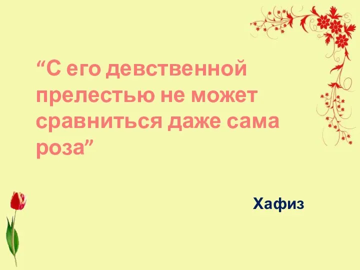 “С его девственной прелестью не может сравниться даже сама роза” Хафиз