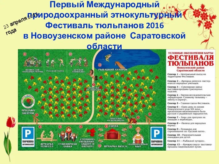 Первый Международный природоохранный этнокультурный Фестиваль тюльпанов 2016 в Новоузенском районе Саратовской области 23 апреля 2016 года