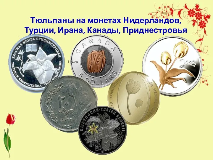 Тюльпаны на монетах Нидерландов, Турции, Ирана, Канады, Приднестровья