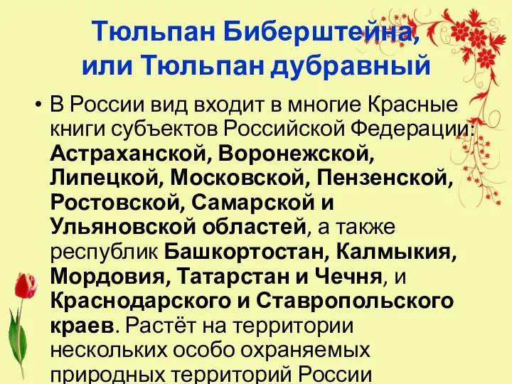 Тюльпан Биберштейна, или Тюльпан дубравный В России вид входит в многие Красные