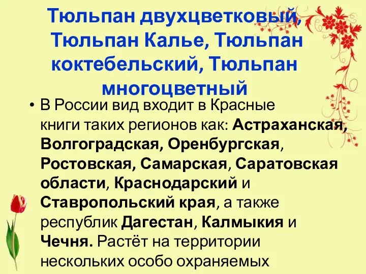 Тюльпан двухцветковый, Тюльпан Калье, Тюльпан коктебельский, Тюльпан многоцветный В России вид входит