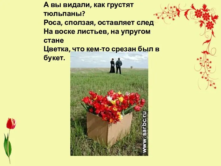 А вы видали, как грустят тюльпаны? Роса, сползая, оставляет след На воске