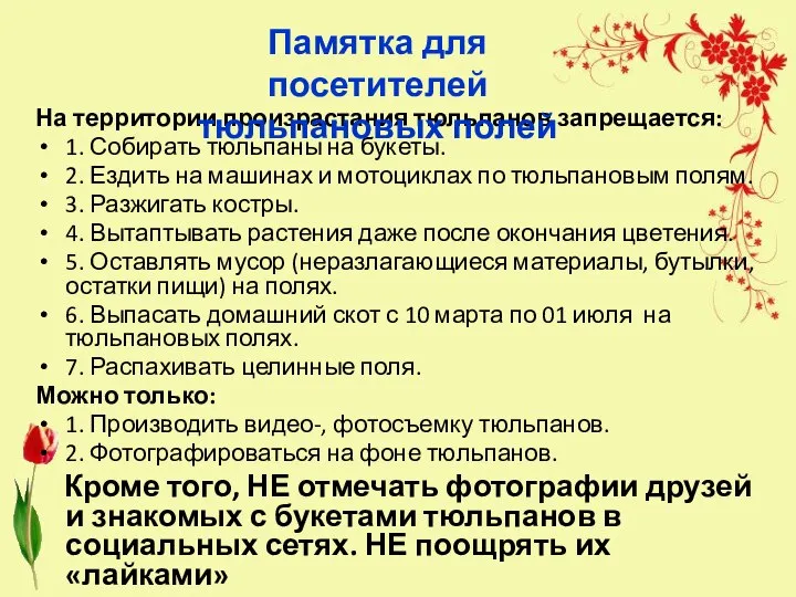 На территории произрастания тюльпанов запрещается: 1. Собирать тюльпаны на букеты. 2. Ездить