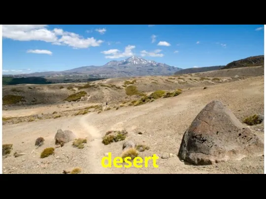 desert