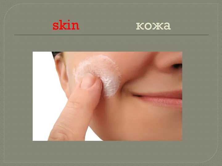 skin кожа