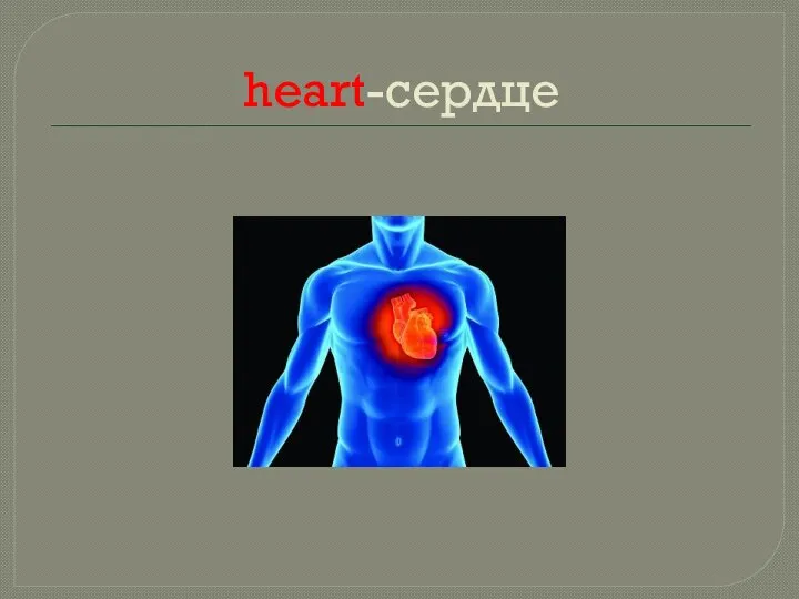 heart-сердце