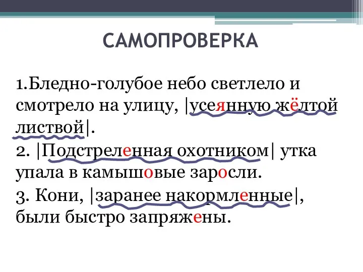 САМОПРОВЕРКА 1.Бледно-голубое небо светлело и смотрело на улицу, |усеянную жёлтой листвой|. 2.