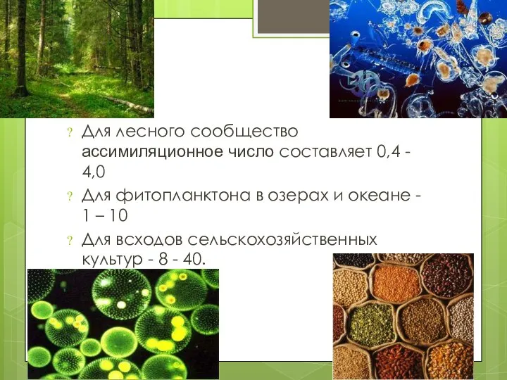 Для лесного сообщество ассимиляционное число составляет 0,4 - 4,0 Для фитопланктона в