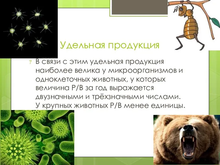 УУ Удельная продукция В связи с этим удельная продукция наиболее велика у