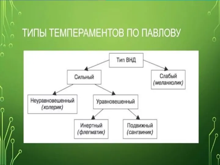 Соотношение типов ВНД с типами темперамента по Павлову