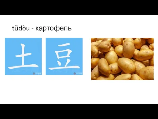 tǔdòu - картофель