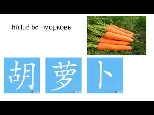 hú luó bo - морковь