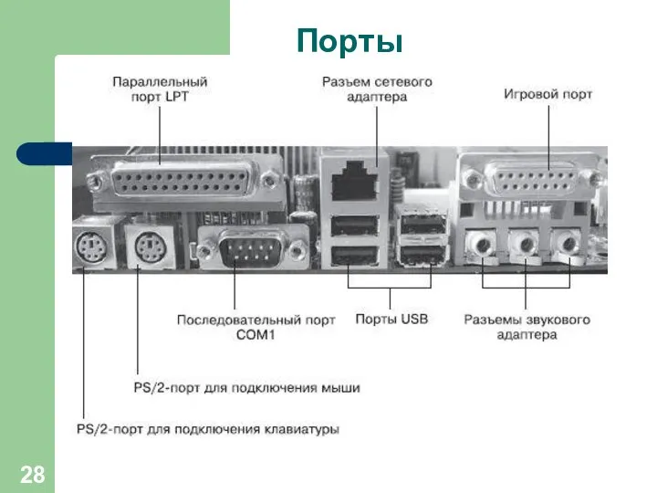 Порты