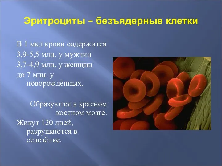 Эритроциты – безъядерные клетки В 1 мкл крови содержится 3,9-5,5 млн. у