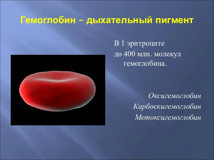 Гемоглобин – дыхательный пигмент В 1 эритроците до 400 млн. молекул гемоглобина. Оксигемоглобин Карбоскигемоглобин Метоксигемоглобин