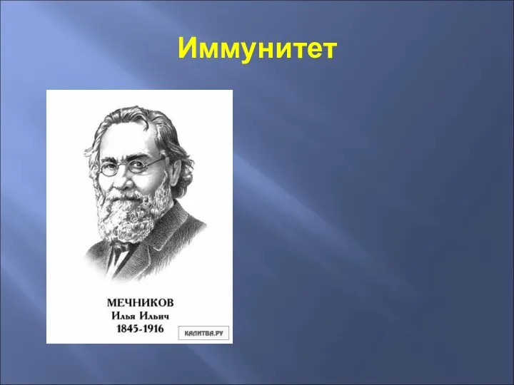 Иммунитет