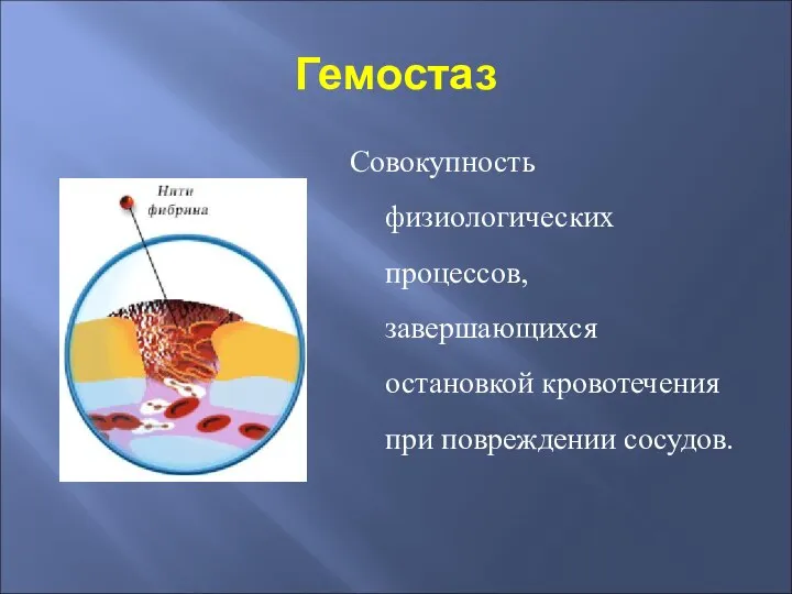 Гемостаз Совокупность физиологических процессов, завершающихся остановкой кровотечения при повреждении сосудов.