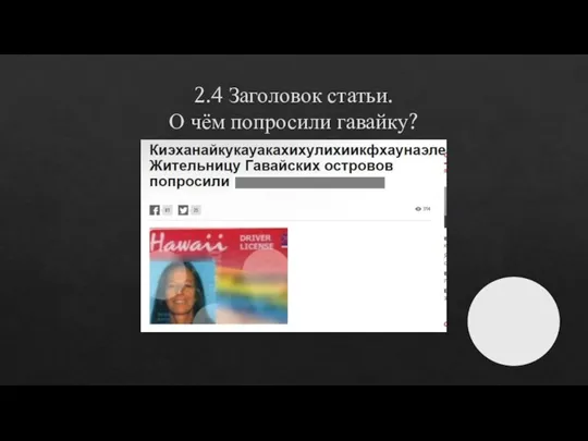 2.4 Заголовок статьи. О чём попросили гавайку?