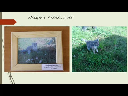 Мезрин Алекс, 5 лет