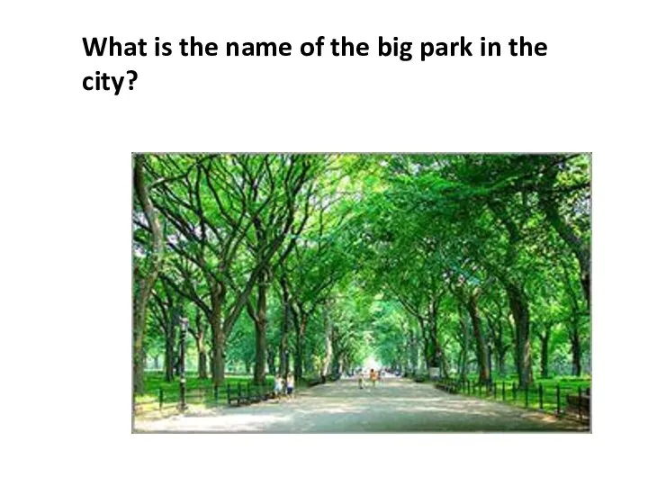 What is the name of the big park in the city?