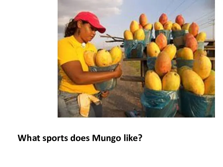 What sports does Mungo like?