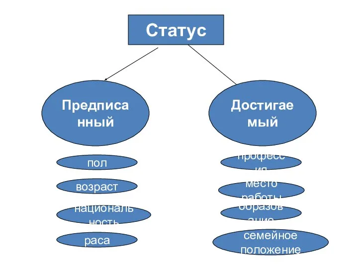 Статус Предписанный Достигаемый пол возраст национальность раса образование место работы профессия семейное положение