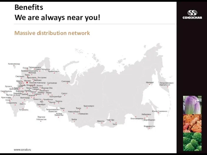 Massive distribution network Benefits We are always near you!