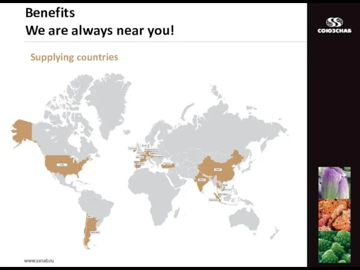 Supplying countries Benefits We are always near you!