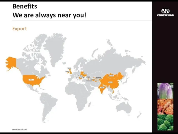 Export Benefits We are always near you!