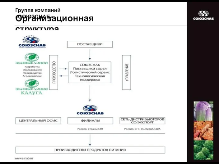 Организационная структура Группа компаний «СОЮЗСНАБ»