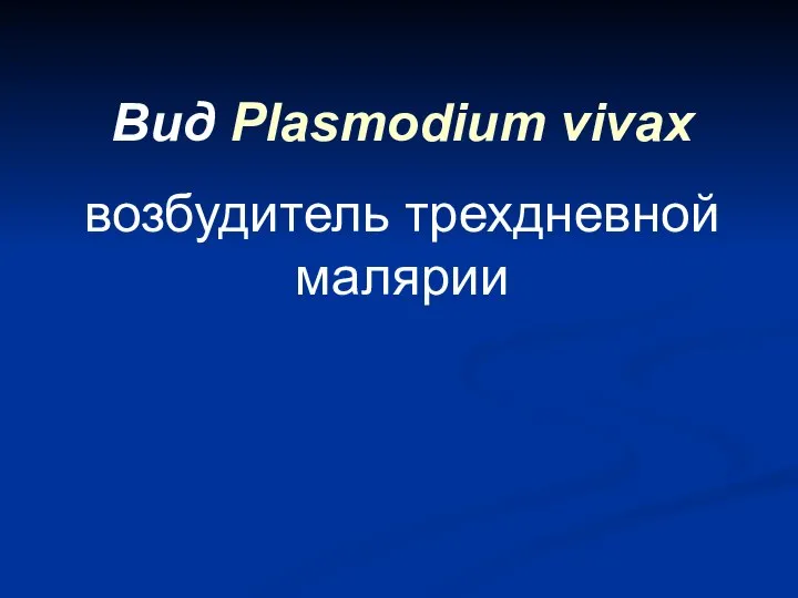 Вид Plasmodium vivax возбудитель трехдневной малярии