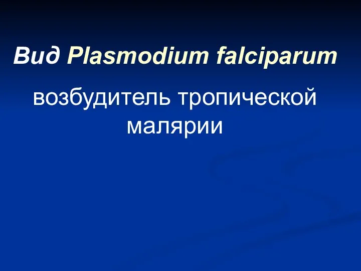 Вид Plasmodium falciparum возбудитель тропической малярии