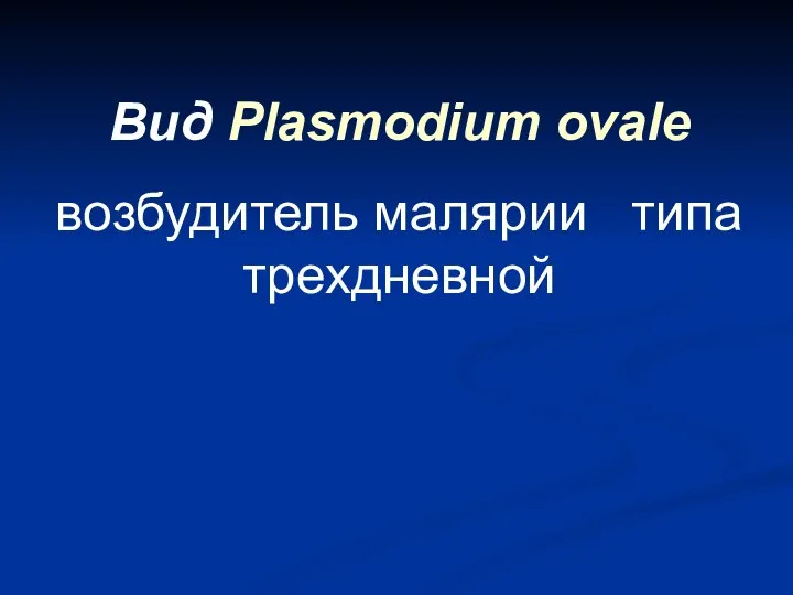 Вид Plasmodium ovale возбудитель малярии типа трехдневной