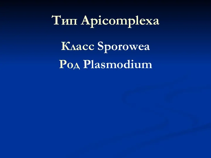 Тип Apicomplexa Класс Sporowea Род Plasmodium