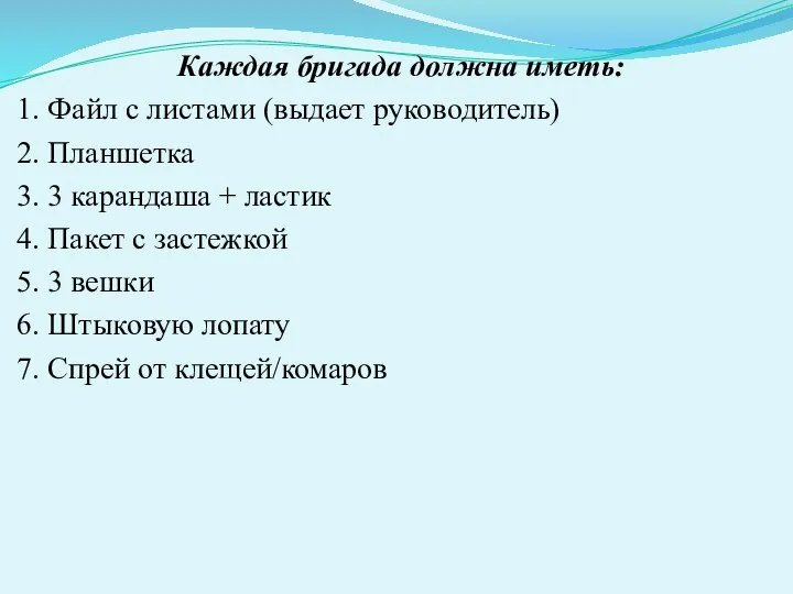 Каждая бригада должна иметь: 1. Файл с листами (выдает руководитель) 2. Планшетка