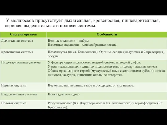 У моллюсков присутствует дыхательная, кровеносная, пищеварительная, нервная, выделительная и половая системы.